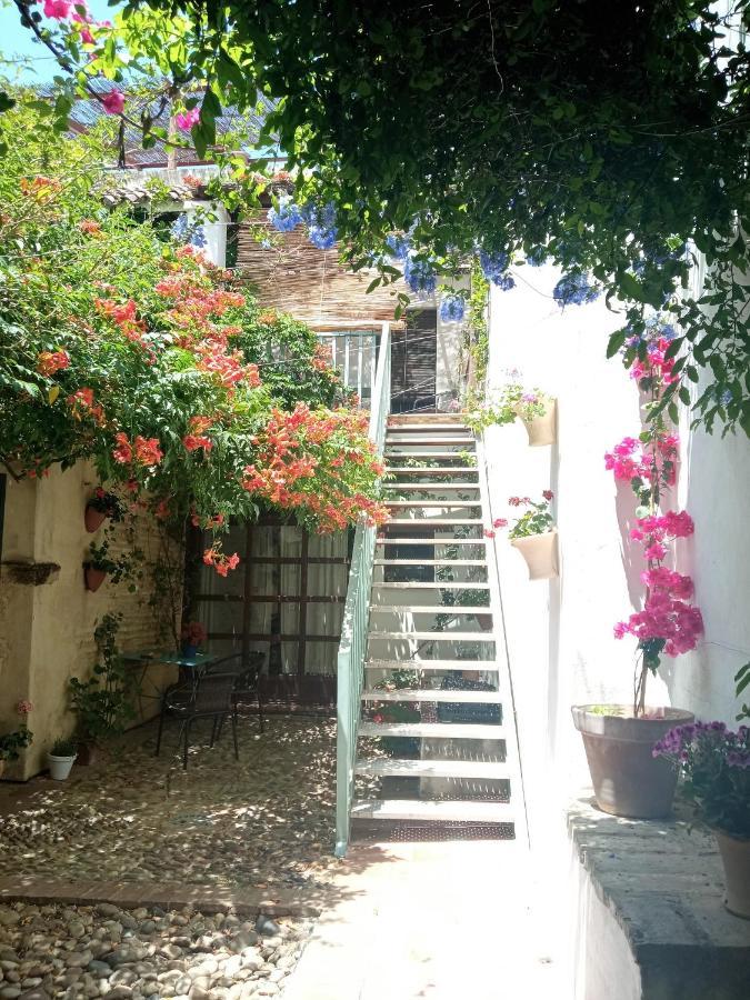 Patio Del Limonero Apartment Кордоба Екстериор снимка