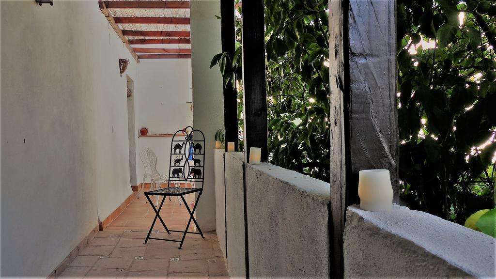 Patio Del Limonero Apartment Кордоба Екстериор снимка