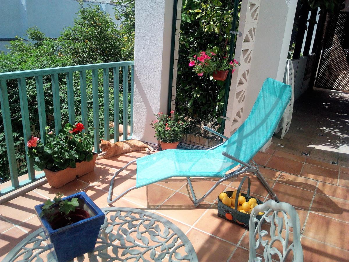 Patio Del Limonero Apartment Кордоба Екстериор снимка